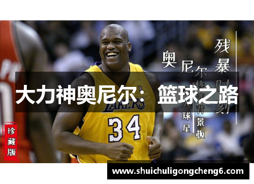 大力神奥尼尔：篮球之路