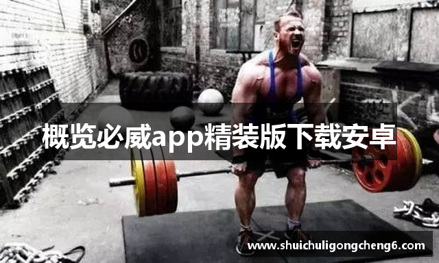 概览必威app精装版下载安卓